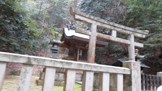 奥社に進む途中に