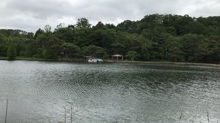大阪・奈良の府県境の池