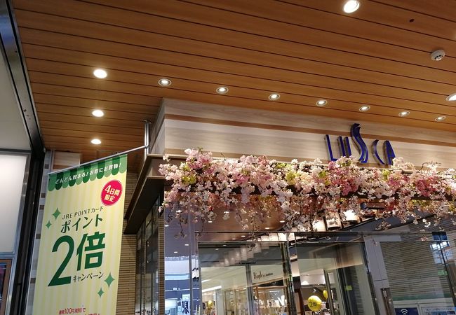 小田原のおすすめショッピング お買い物スポット クチコミ人気 小田原のおすすめショッピング お買い物スポット クチコミ人気