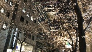 自粛前にふらっと通り過ぎました