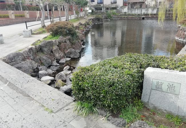菰池公園 クチコミ アクセス 営業時間 三島 フォートラベル