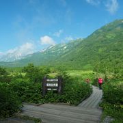 花と白馬三山の雄大な景観が手軽に楽しめる