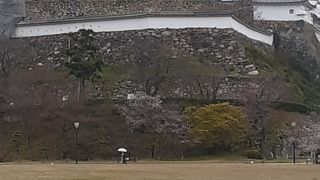 2020年３月28日現在、コロナウィルス対策の為かいくつか規制がありました