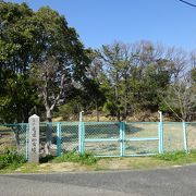 公園のような場所に