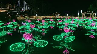 ライトアップが綺麗です