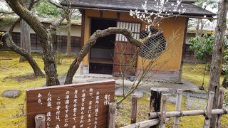 天守閣観光のついでに