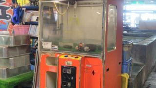 さざえキャッチャー