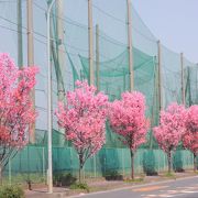 まっすぐに伸びる３kmの道路