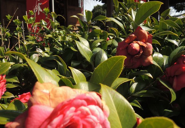 瀬谷八福神巡りのひとつ