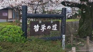京都で1番好きな道