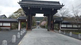 浄土宗の総本山