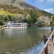 由布院・別府　旅行記