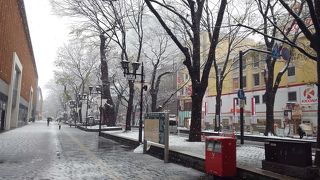 冬はとくに最高！