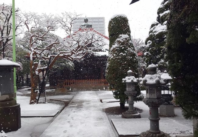 雪で覆われた日本の寺！