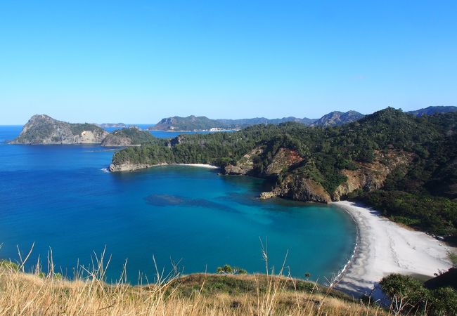 コペペ海岸 クチコミ アクセス 営業時間 父島 フォートラベル