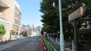 見るものが殆どない都会の普通の通りでは と思います