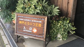 動物との距離が近い♫