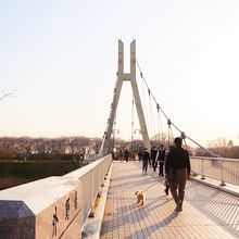 夕方の外野橋 