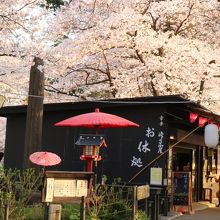 桜の時期の峠の茶屋