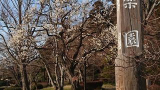 日本三名園のひとつ