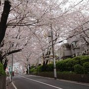 桜坂