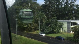 熱帯雨林を上から空中散歩