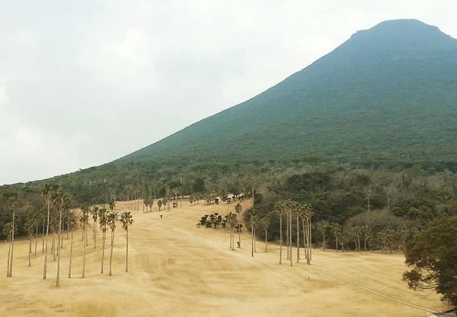 戦略性のあるコース