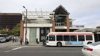 ここにもロッキーそしてダイソン