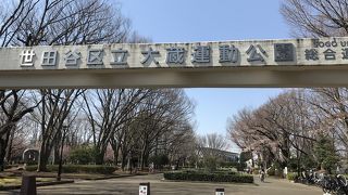 遊具などもあります