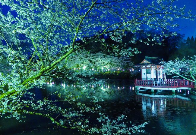 茂原公園 クチコミ アクセス 営業時間 茂原 フォートラベル 茂原公園 クチコミ アクセス 営業時間 茂原 フォートラベル
