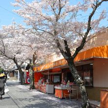 柏餅を売る店が並ぶ