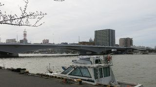 信濃川に架かる橋