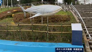 ジンベエザメが泳ぐのとじま水族館