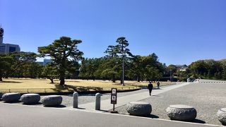 数千本の黒松が見事に植えられている