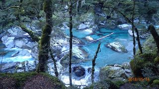 ルートバーン トラック