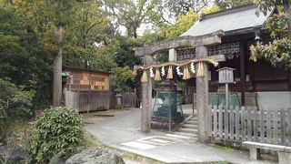 京都御苑の九条池にある小さな神社