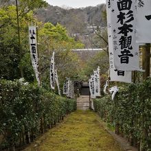 上から眺めた様子