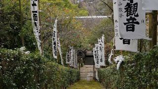 石段にびっしり