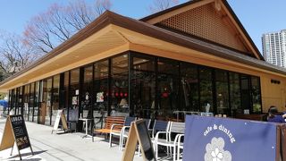 外苑休憩所で桜を見ながらランチ