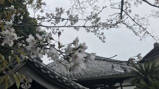 樫木山 観音寺