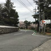 　市内でも　有数の桜鑑賞もできる公園。