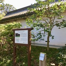 中を見学できます