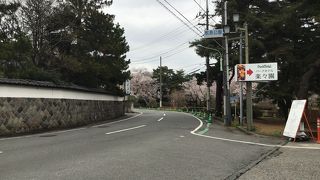 　市内でも　有数の桜鑑賞もできる公園。