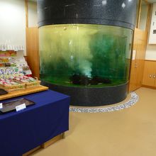 何あの水槽は？