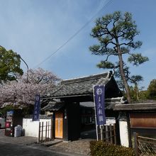 入口脇には桜が・・・・