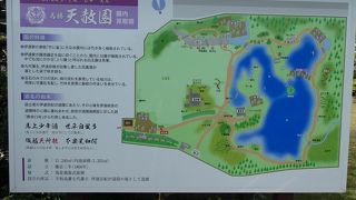 ０８：３０開園で白藤に菖蒲に竹に池に・・・・見どころ沢山です
