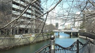 桜は、まだまだでした