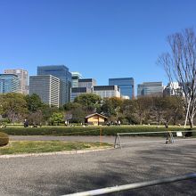 芝生でくつろぐ姿も。一部工事中だった