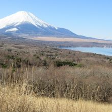 湖と富士山と