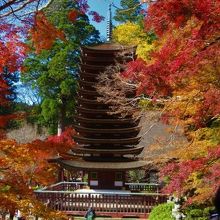 桜井市の談山神社の紅葉の際には是非三輪そうめんを